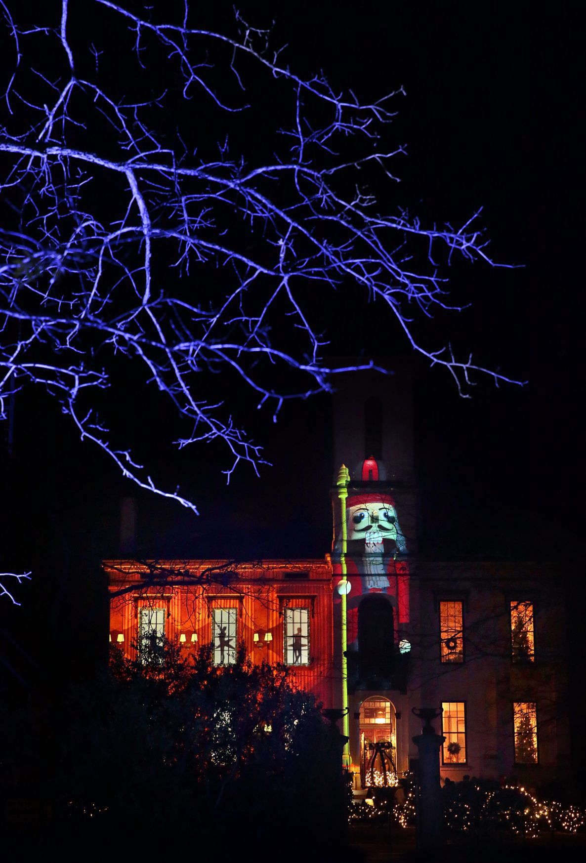 Garden Glow at Missouri Botanical Garden
